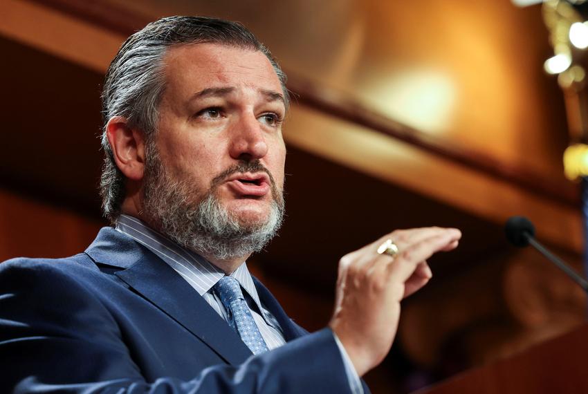 U.S. Sen. Ted Cruz, R-Texas, addresses a news conference on Capitol Hill in Washington, D.C., on Oct. 6, 2021.